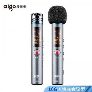 爱国者（aigo）录音笔 R55...